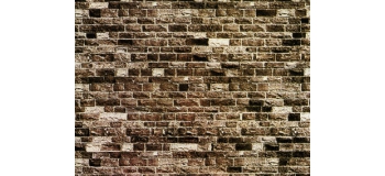 noch 57530 57720 Mur de basalt